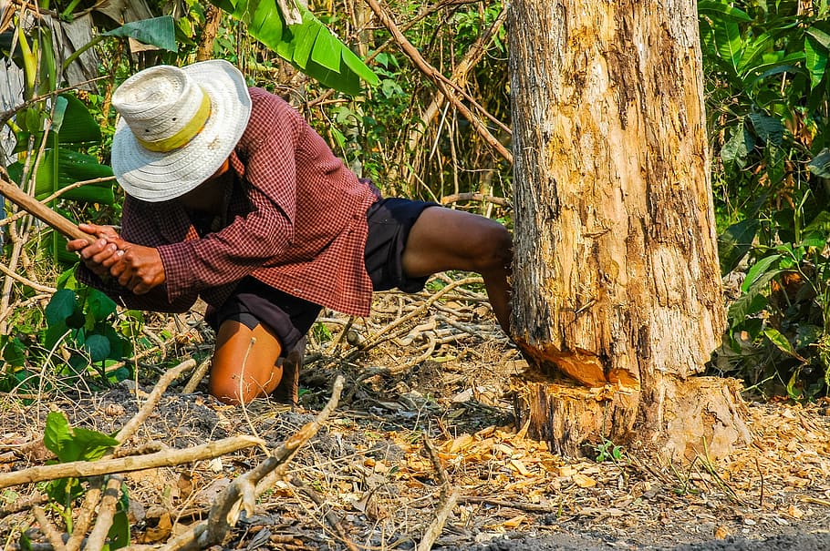 man holding axe beside tree, Lumberjack, Man, Climb, Cases HD wallpaper