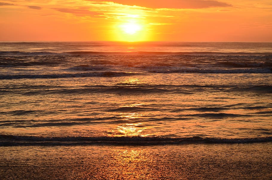 shoreline during golden hour, Beira Mar, Sol, Beach, Ocean HD wallpaper