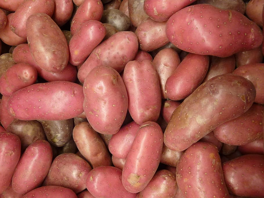 potatoes, spuds, vegetable, organic, nutrition, natural, healthy HD wallpaper