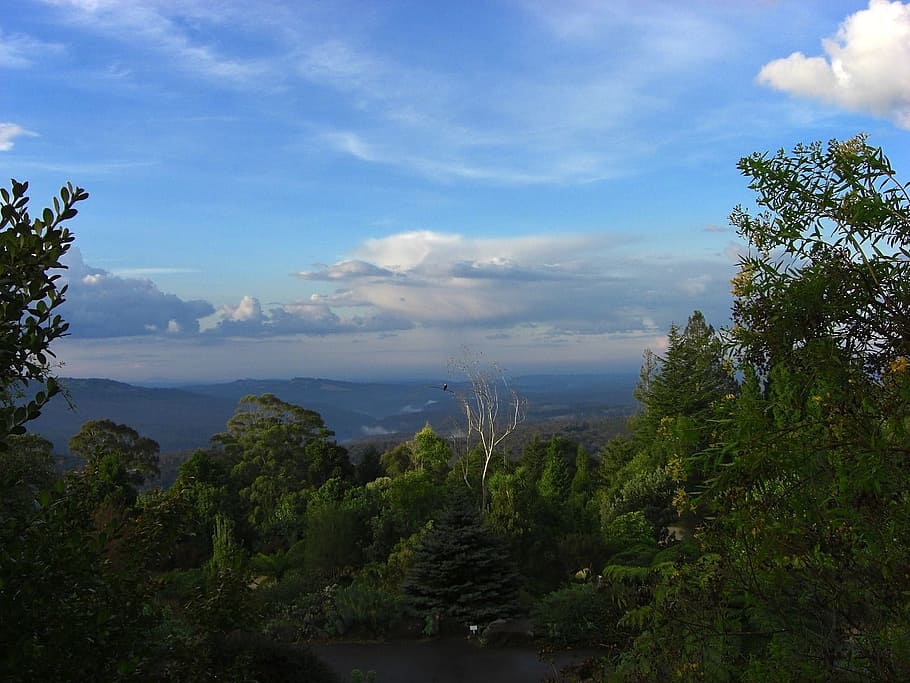 Australia, Landscape, Clouds, sky, mountains, forest, trees HD wallpaper