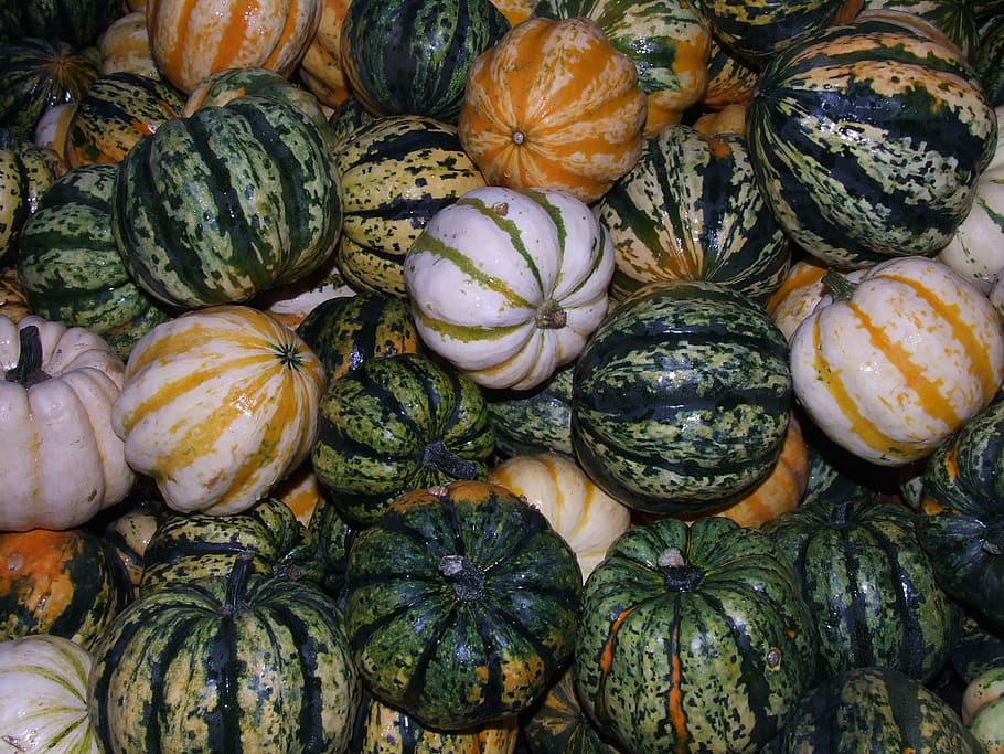 Pumpkins, Food, Harvest, Autumn, blühendes baroque, ludwigsburg germany, HD wallpaper