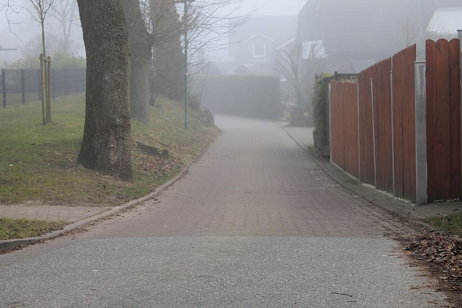 fence, road, tree, fog, atmosphere, morning, direction, transportation HD wallpaper