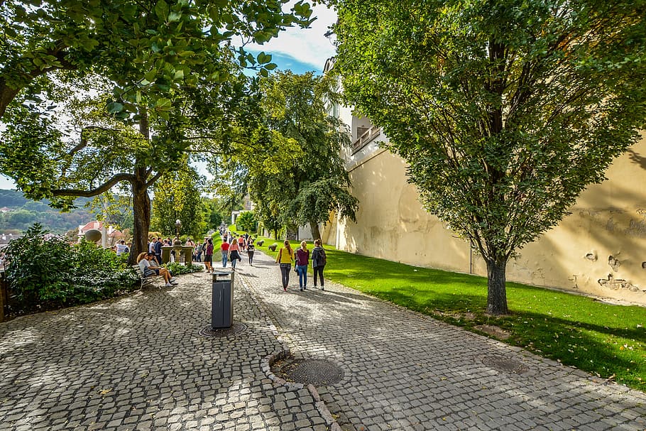 Prague, Castle, Castle, Road, Cobblestone, leisure, czech, trees HD wallpaper