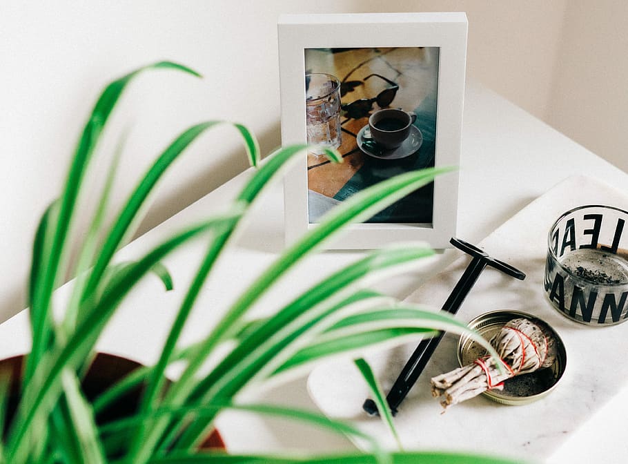 white and black photo frame near clear glass tray, green leaf plant and white wooden photo frame HD wallpaper