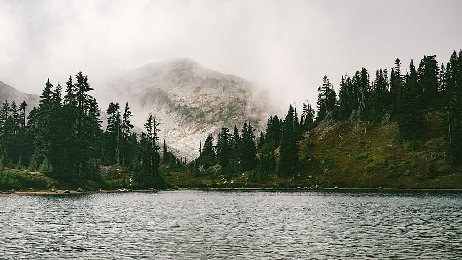 lake in forest near mountain, lake surrounded with trees, hill HD wallpaper