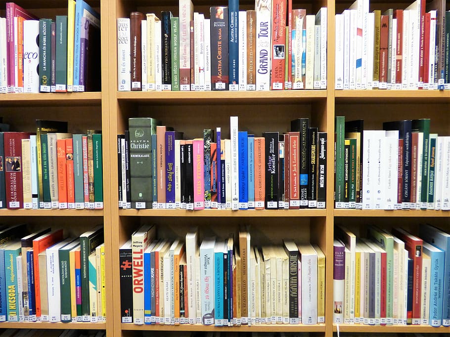 books in brown wooden shelf, bookshelf, library, catalog, color HD wallpaper