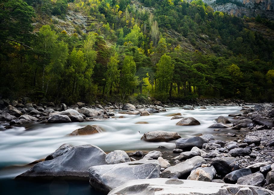 stream, water, rocks, nature, river, green, trees, plant, highland HD wallpaper