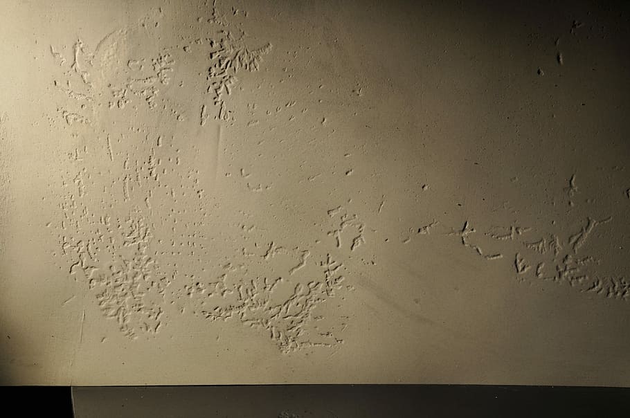 Concrete, Texture, Stone, Wall, drop, wet, window, backgrounds HD wallpaper