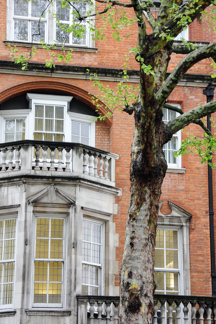 Building, Front, View, Tree, front view, bay window, facade HD wallpaper