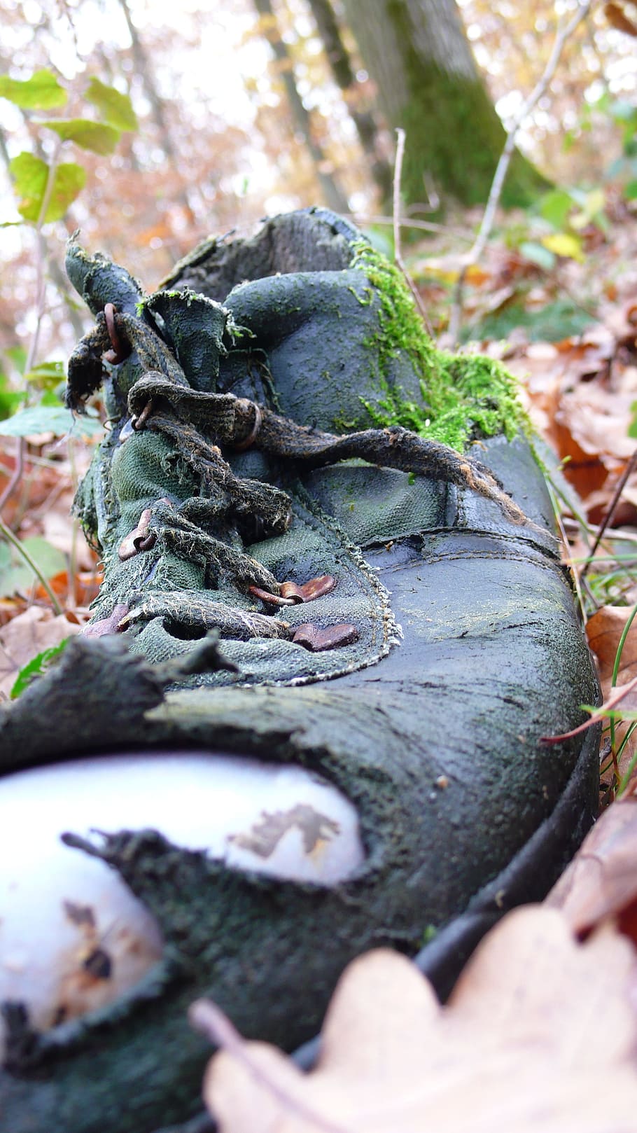 Shoes, Old, Garbage, close-up, day, outdoors, animal themes HD wallpaper