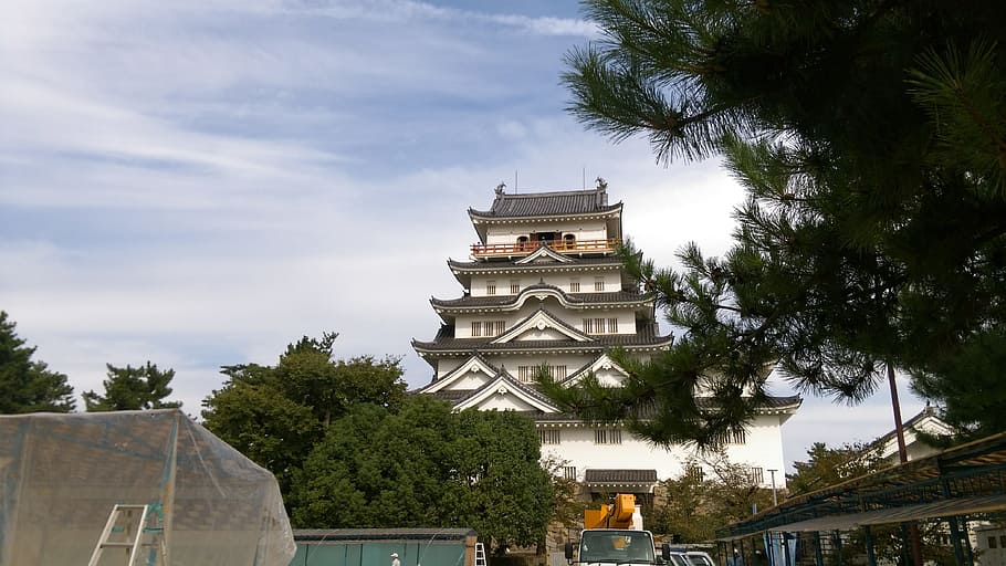 fukuyama castle, fukuyama city, japan, tree, architecture, plant, HD wallpaper