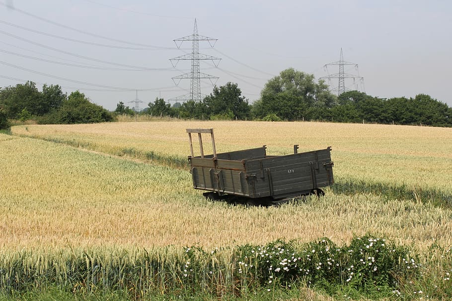 field, nature, trailers, bauer, sky, landscape, fields, cereals HD wallpaper