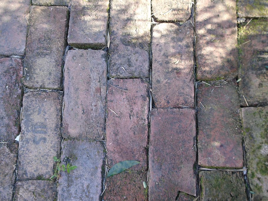 brick, pavement, old, region, garden, sunlight, background HD wallpaper
