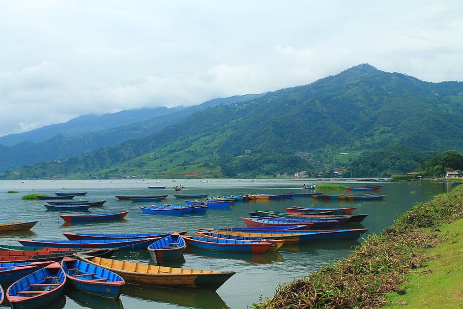brown-and-blue row boat lot on body of water at day time, Pokhara