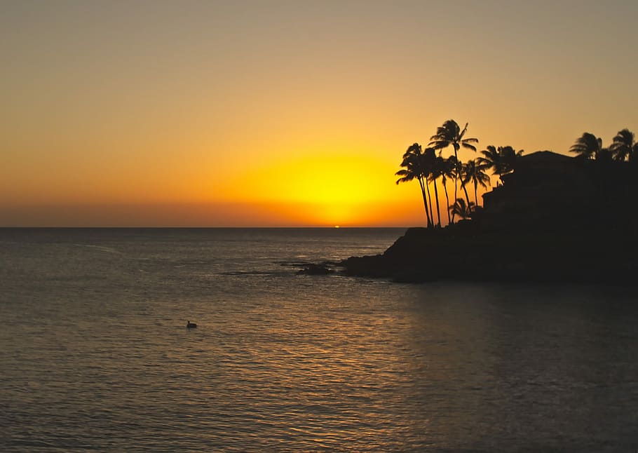 silhouette island during golden hour, sunset, ocean, last light HD wallpaper
