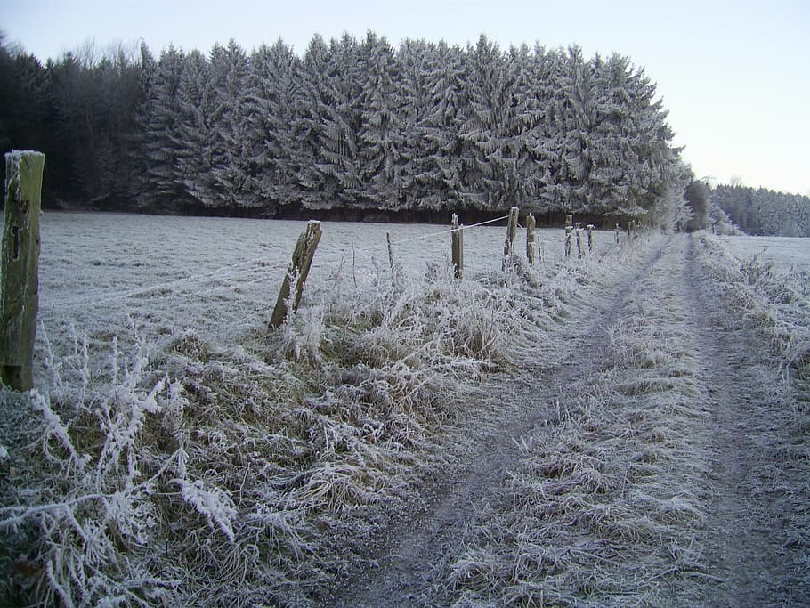 Winter, Away, Iced, Cold, White, snow, nature, cold - Temperature HD wallpaper
