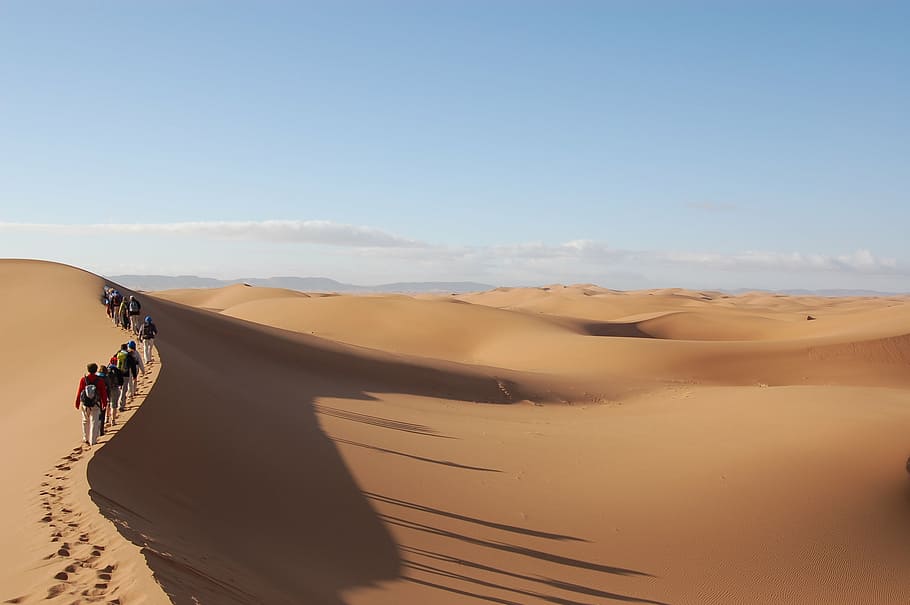 people walking on desert during daytime, sahara, south, morocco