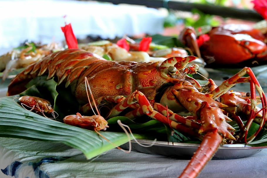 kitchen, crayfish, plate, flat, crustacean, fishing, sea, food HD wallpaper