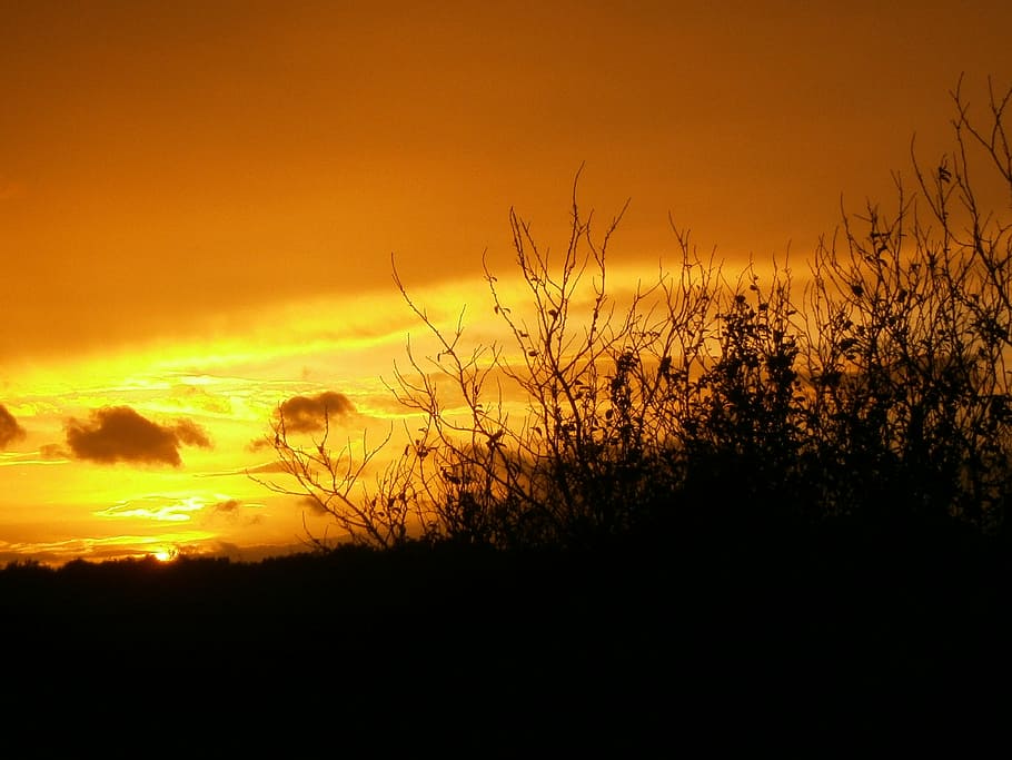 sunset, afterglow, evening sky, romantic, clouds, nature, rest HD wallpaper