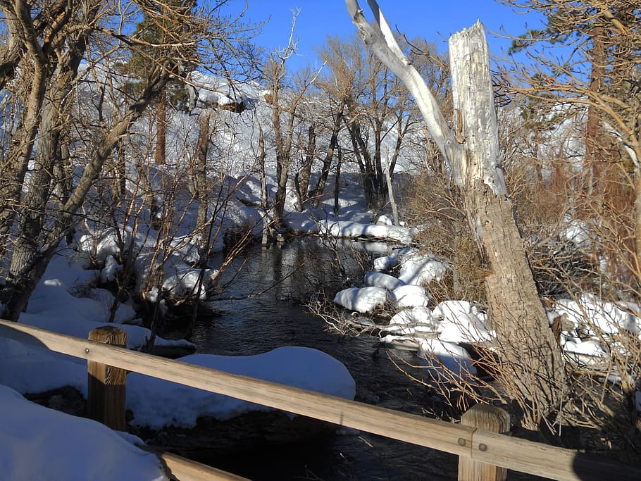 winter, snow, river, landscape, nature, california, tree, plant HD wallpaper