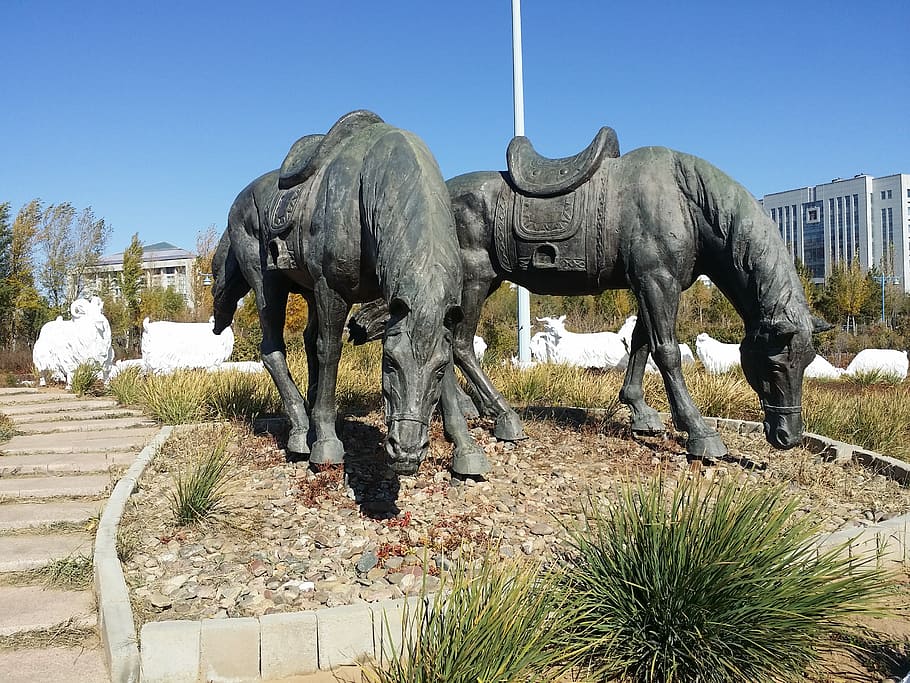 inner mongolia, jingkiseukan, genghis khan, statue, plant, mammal, HD wallpaper