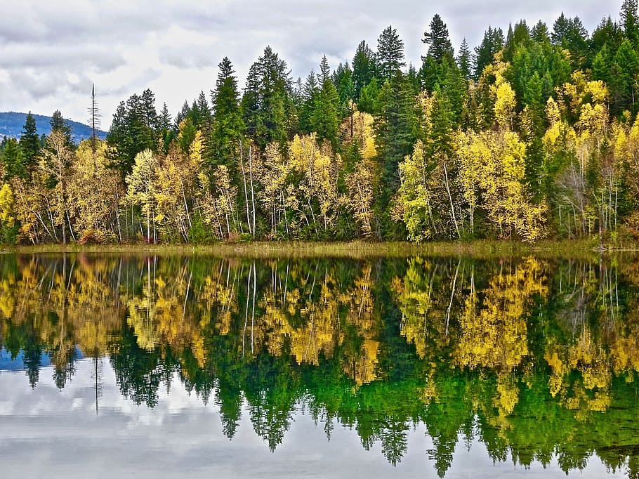 Reflection, Water, Landscape, autumn, scenery, peaceful, tree HD wallpaper