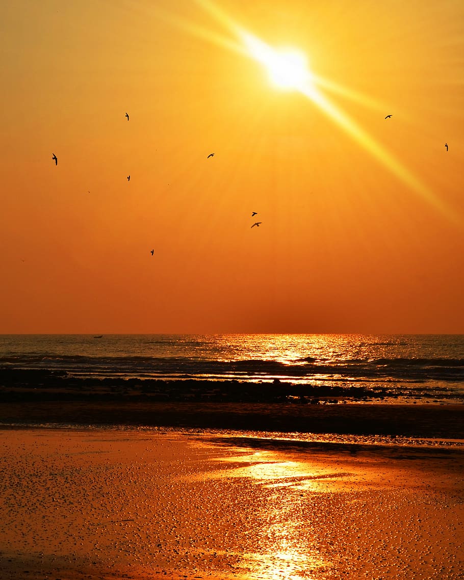 sunset, sea, beach, ocean, water, sky, nature, travel, sunrise HD wallpaper