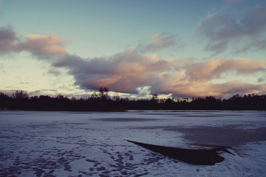 Silhouette Photo of Trees, clouds, cold, dusk, evening, frozen lake HD wallpaper