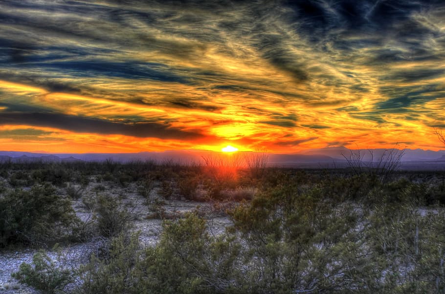 grass field during golden hour, sunset, desert, texas, big bend HD wallpaper