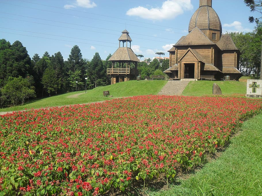 park, curitiba, tingui, plant, flowering plant, architecture