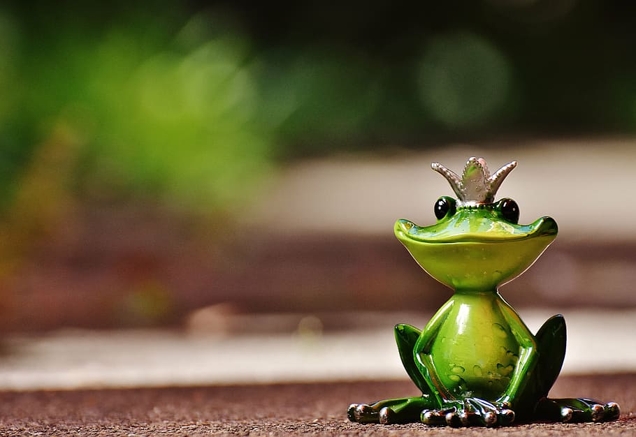 shallow focus photo of green frog figurine, frog prince, crown