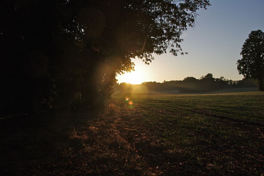 Sunset, Twilight, Evening, tranquil scene, nature, agriculture HD wallpaper