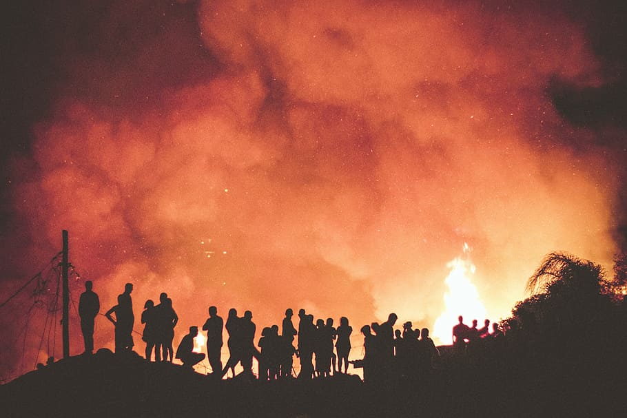 people near bonfire during night, silhouette of people during wild fire HD wallpaper