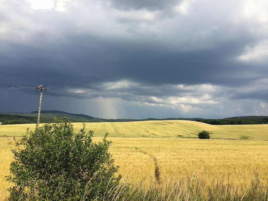 storm, crop circle, path, high voltage, nature, landscape, finery HD wallpaper