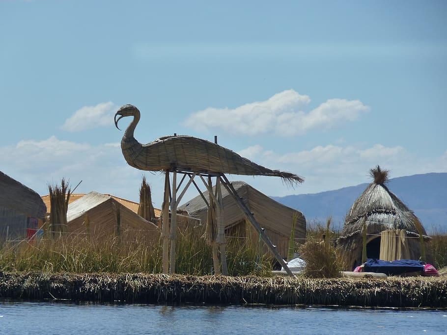 reed, totoraschilf, reed island, rush, lake titicaca, peru, HD wallpaper