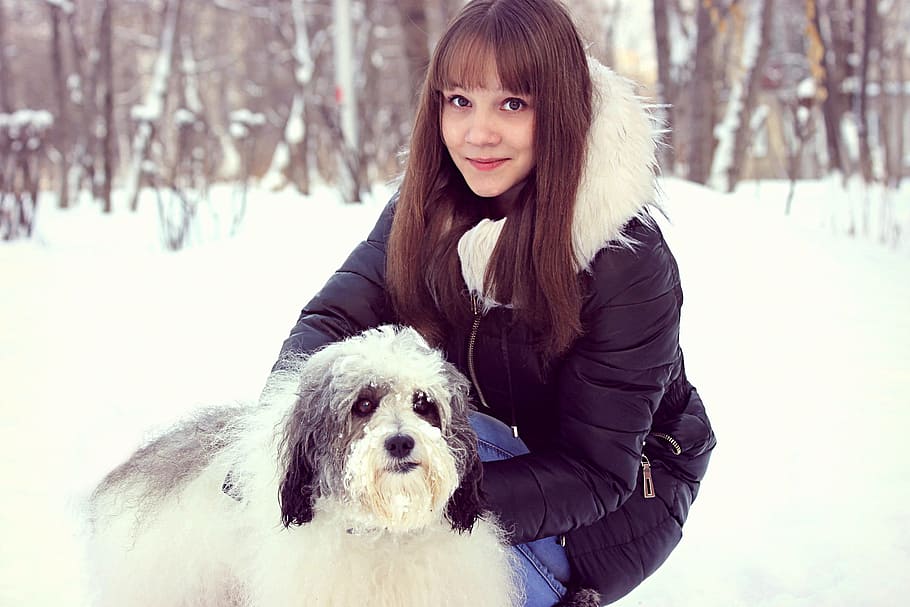 winter, snow, dog, white, girl with dog, cold temperature, canine HD wallpaper