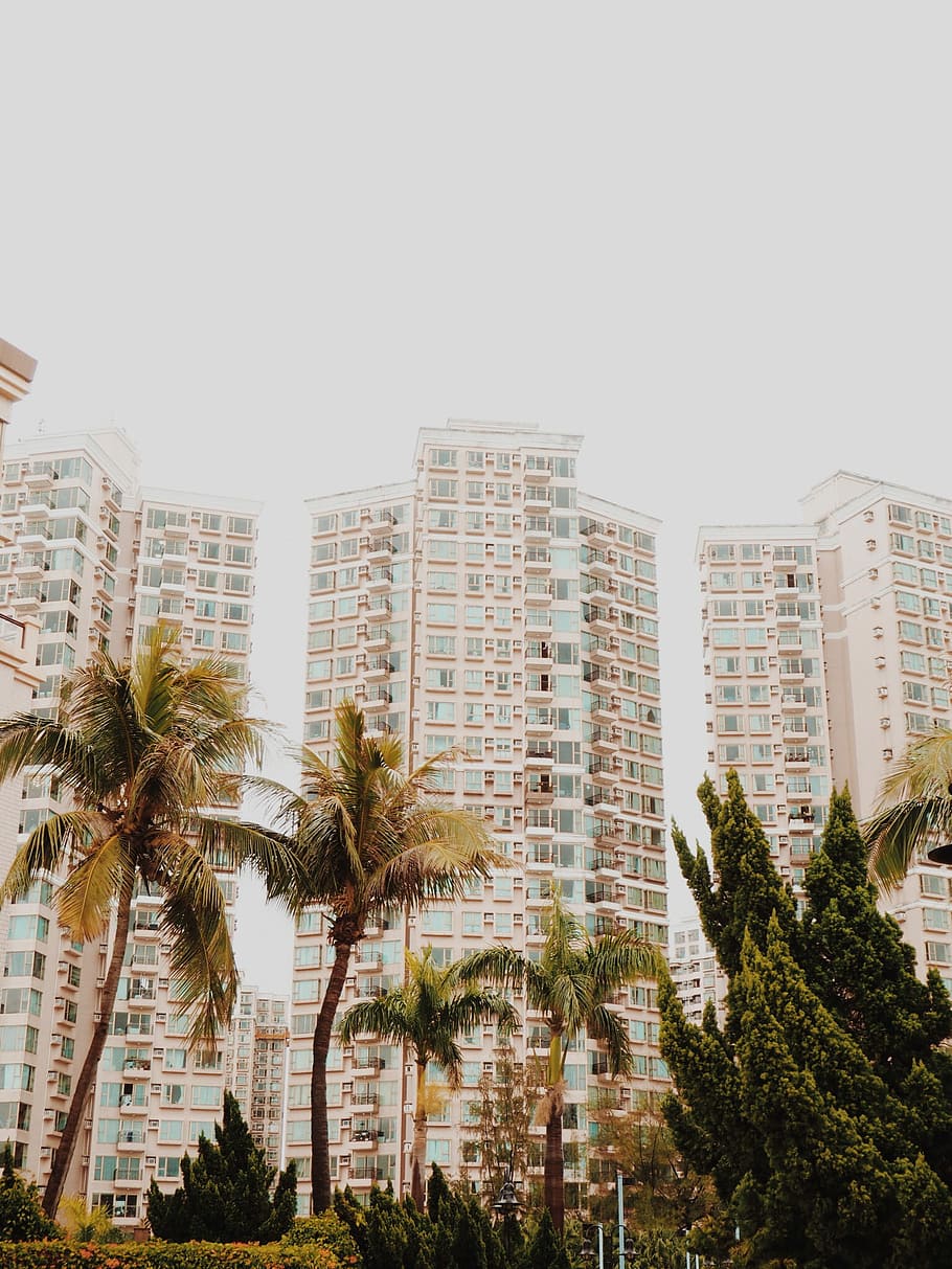 high-rise buildings, white high-rise building during daytime HD wallpaper