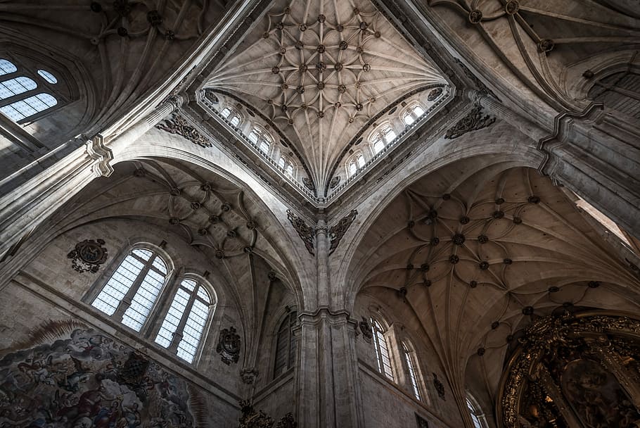 low-angle photography of cathedral, worm's eye photography of interior HD wallpaper