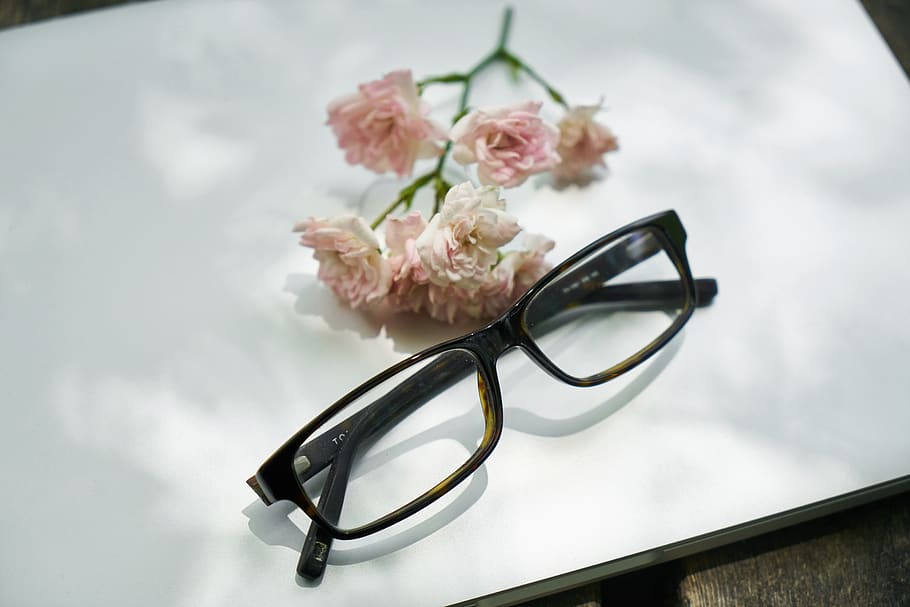 laptop, flower, eyewear, computer, the work, technology, contact HD wallpaper