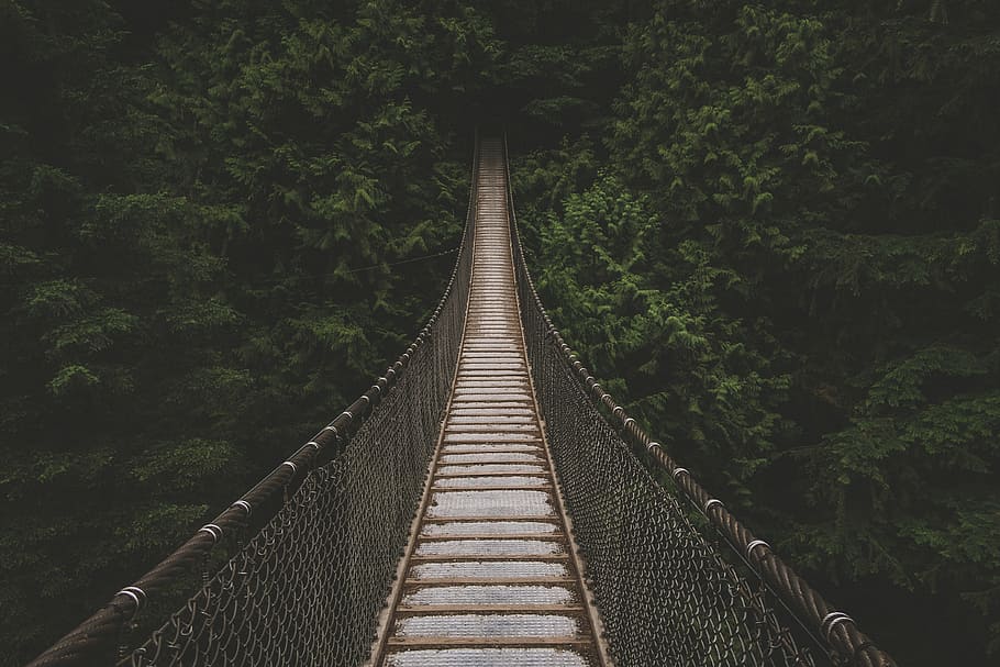 hanging bridge lined with trees at daytime, brown bridge near trees at daytime HD wallpaper