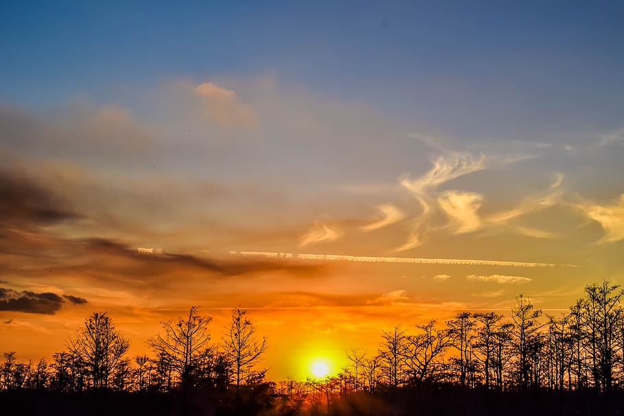 sunset, everglades, landscape, sky, tree, cloud - sky, scenics - nature HD wallpaper