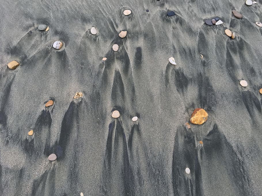 Sand, Gray, Shells, Beach, nature, outdoors, day, people, high angle view HD wallpaper