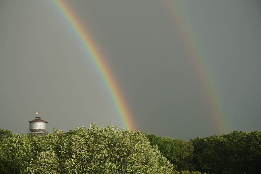 water tower, rainbow, double rainbow, tree, beauty in nature HD wallpaper