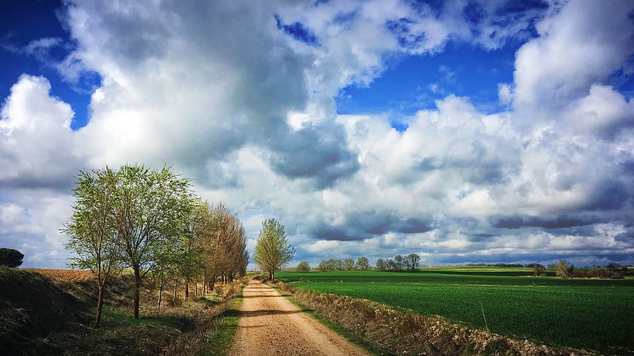 clouds, road, trees, scenery, sky, dirt, green, cloud - sky HD wallpaper
