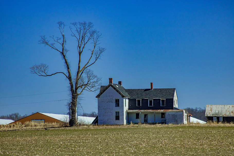 barn, house, farm, grass, sky, built structure, architecture HD wallpaper