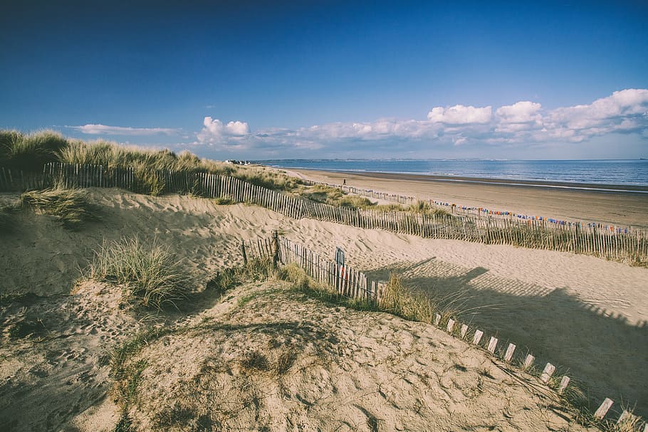 Sand dunes and beach on the coast of Kent in England, nature HD wallpaper
