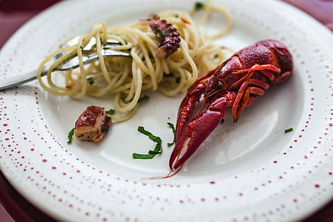 Fancy dinner with seafood pasta, crayfish and red wine by the table decorated with roses HD wallpaper