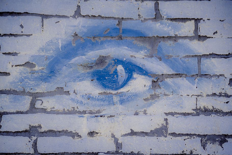 eye, blue, blue eye, close, black eye, view, watch, full frame HD wallpaper