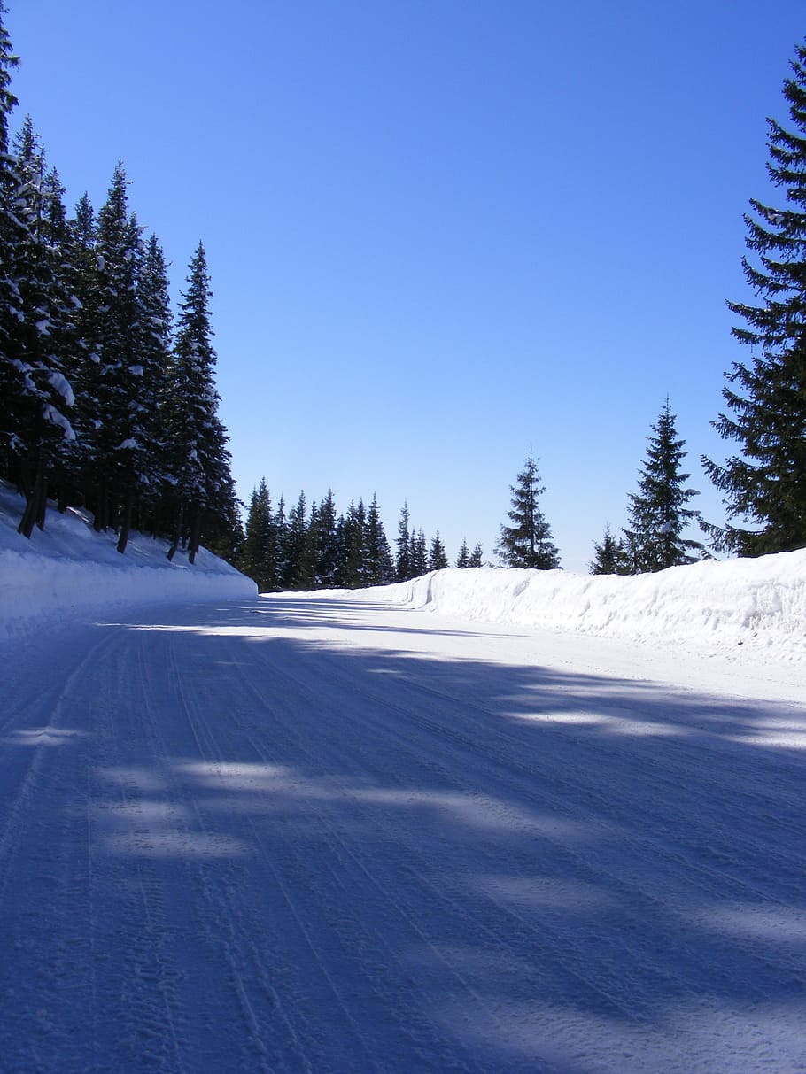 cold, mountain, road, snow, snowy, white, travel, winter, cold temperature HD wallpaper