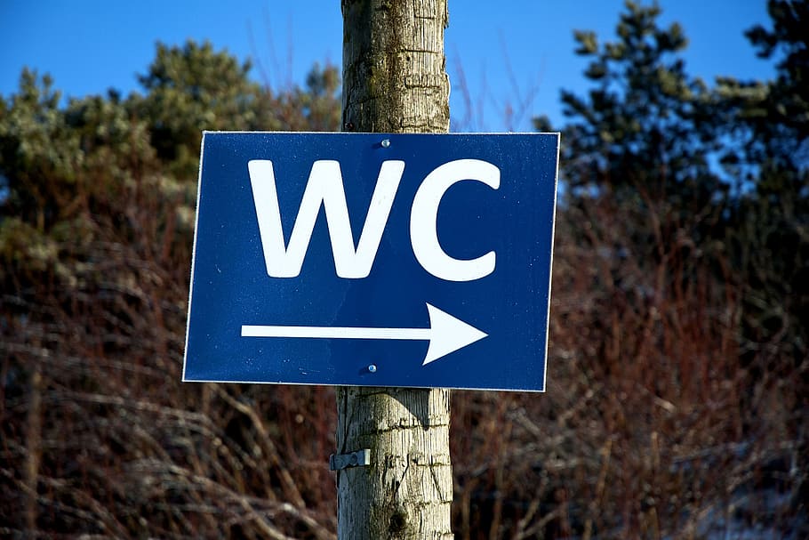 Wc, Sign, Toilet, Restroom, mark, blue, outdoors, symbol, road sign